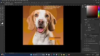 Https Vm Tiktok Com ZSH77yPLyeJHA WFhXJ 