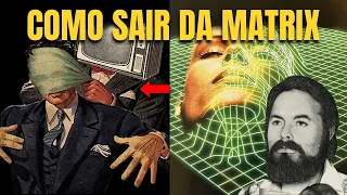 VOCÊ ESTÁ EM UMA SIMULAÇÃO: VEJA COMO SAIR