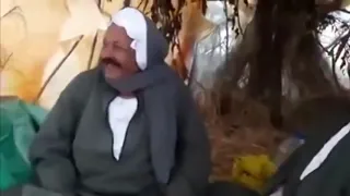 نغمه احمد حلمي  نغمه احمد حلمي