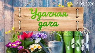«Удачная дача», эфир от 15 мая 2020 года