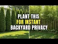 Lagu Plant These 5 Trees for Instant Backyard Privacy