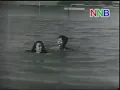 Download Lagu P.Ramlee \u0026 Lena - Alam Maya [OST Miskin 1952]