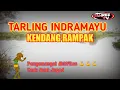 Lagu Lagu tarling kendang rampak ||paling  asyik buat joget
