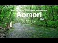 Download Lagu Japan’s Hidden North | Early Autumn Trip to Aomori’s Untouched Beauty | Oirase | JAPAN TRAVEL VLOG