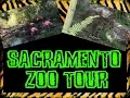 Sacramento Zoo Tour 2018