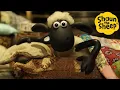 Lagu Shaun the Sheep 🐑 Rude Awakening - Cartoons for Kids 🐑 Full Episodes Compilation [1 hour]