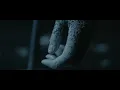 Ivy Lab - Touch & Go