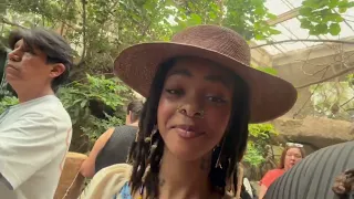 The Dallas World Aquarium 2026 Everything You Can Expect To See