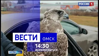 «Вести Омск», дневной эфир от 22 ноября 2023 года