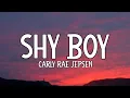 Download Lagu Carly Rae Jepsen - Shy Boy (Lyrics)