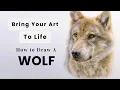 How to Draw a Realistic Wolf with Coloured Pencils - Beginner Pet Portrait Tutorial