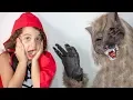 Lagu CHAPEUZINHO VERMELHO E O LOBO MAL