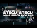 Lagu DJ VELOCITY STECU STECU X PICA PICA X MILKSHAKE TREND REMIX - DJ TIKTOK TERBARU 2025