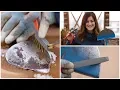 How to Clean Sharpen Your Garden Tools Garden Answer