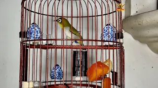 mata puteh dagger buka sing a little lack of adequate sleep 10022022