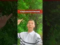 Download Lagu 3 Tekenen dat je een Munafiq bent in de Islam