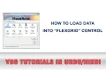 VB6 Tutorial In Urdu - Load Data Into FlexGrid Control