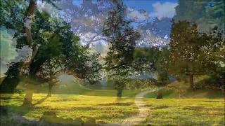 اغنية محال نسمح فيك الشاب حسني           دندنها