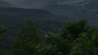 القارئ اسلام صبحي سورة النمل كاملة بدون اعلانات 