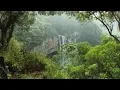 Download Lagu Globo Repórter- Conectados à Natureza na Mata Atlântica