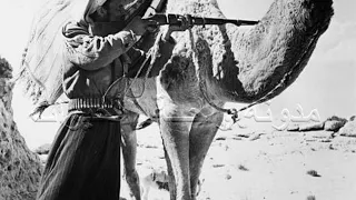 هجيني عوده ابو قرينات كاااامله 2020 