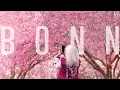 Download Lagu Hanami in Bonn 花見