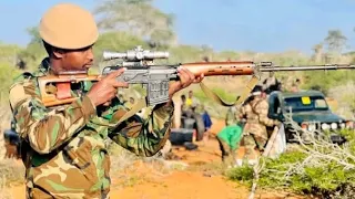 Lola Aj Aibaa Kana Ilaalaa WBO N Faannoo Kuma 6 000Fixe Oromoo Ajjeesuf Dhufte Injifannoo WBO 