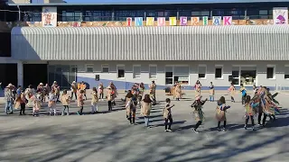 DBH1