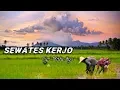 Download Lagu Sewates Kerjo - Happy Asmara (unofficial + lyrics)