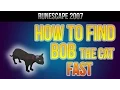 RS07 How To Find Bob The Cat