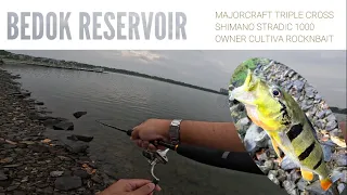 majorcraft triple cross peacock bass quick session
