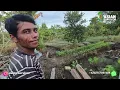 Download Lagu BERBAGI ILMU PERTANIAN SESAMA PERANTAU DI PERMULIMAN TRANSMIGRASI SEPUNGGUR, BULUNGAN, KALIMANTAN