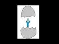 Noita The Egg Trick