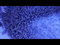 Curawaka - Vem Mãe Natureza