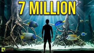 I Added Fish into My Giant Lagoon Vivarium (7 Million Subscribers Episode)