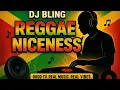 Download Lagu 🔥 DJ BLING - REGGAE NICENESS MIX 2025 🔥
