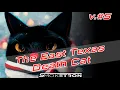 v The East Texas Death Cat