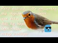 FELIZ TARDE dios te