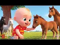 Mi Caballito Nick Corre Corre en la Granja Canciones Educativas para Ninos