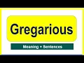 Detailed Meaning of Gregarious Gregarious with Sentences Build Your Vocabulary