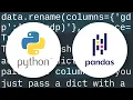 Rename specific column s in pandas
