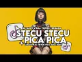 Download Lagu DJ STECU STECU C PICA PICA SLOW VIRAL TIKTOK TERBARU 2025