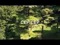 Download Lagu Cep Cep
