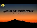 Download Lagu Habibi Ya Muhammad |slowed \u0026 reverb | Mind Relaxing Nasheed  #nasheed #mindrelaxing #video