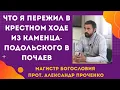 Download Lagu Что я пережил в Крестном ходе из Каменца Подольского в Почаев. Прот. Александр Проченко