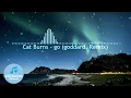 Cat Burns - go (goddard. remix)