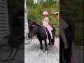 Download Lagu This is plant-based ECO friendly glitter🩷✨ #shortsvideo #horse #pony #glitter