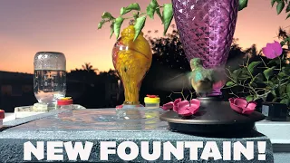New Hummingbird Fountain Thanks