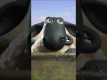 Download Lagu Shaun gets a delivery!🐑🐑🐑#shaunthesheep #shorts #packaging
