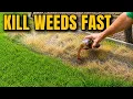 Homemade Weed Killer That Kills Roots Fast Safe for Pets